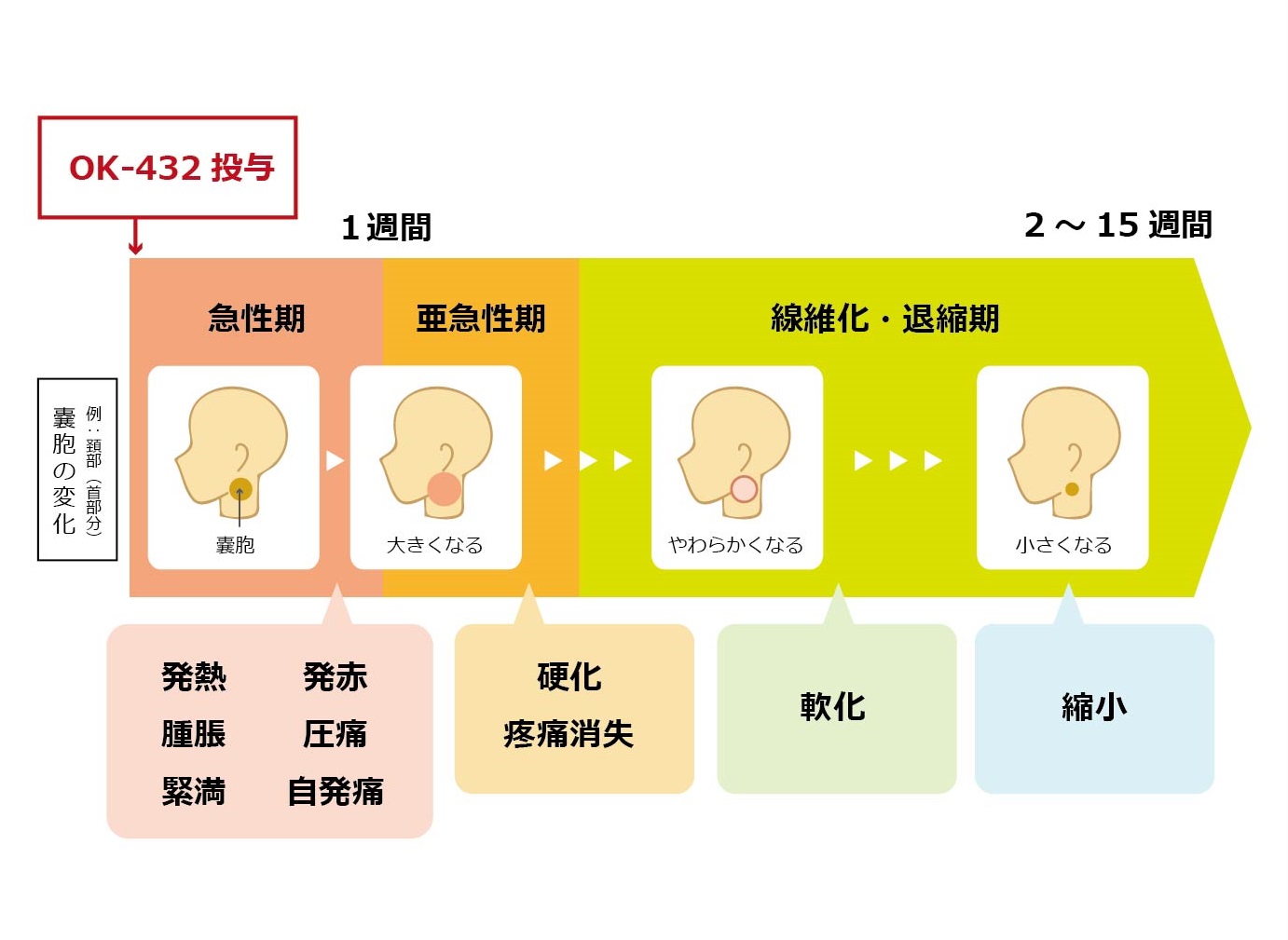 陰茎 硬化 性 リンパ 管 炎